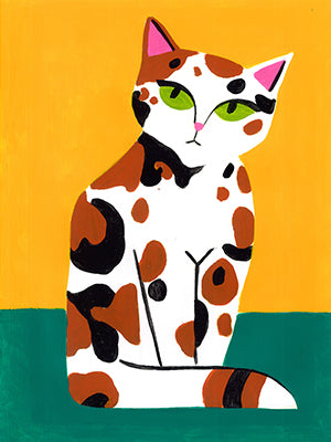 Calico Cat