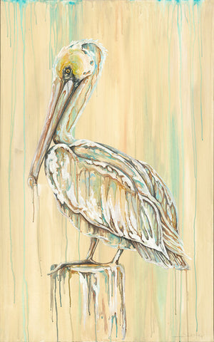 Brown Pelican