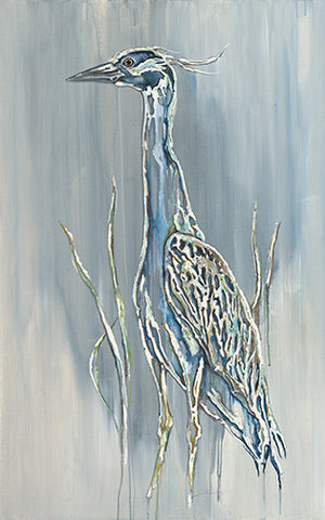 Night Heron