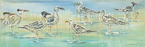Sea Birds