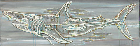 Shark