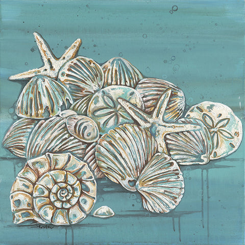 Welk & Shells