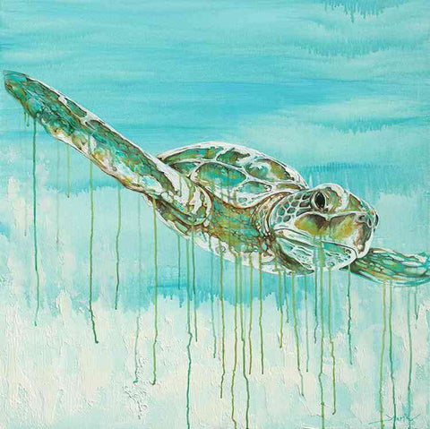 Old Wise Turtle